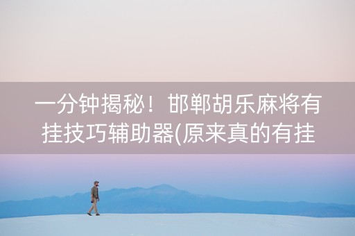 一分钟揭秘！邯郸胡乐麻将有挂技巧辅助器(原来真的有挂)