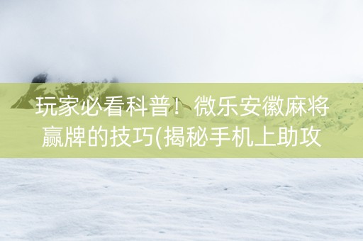 玩家必看科普！微乐安徽麻将赢牌的技巧(揭秘手机上助攻神器)