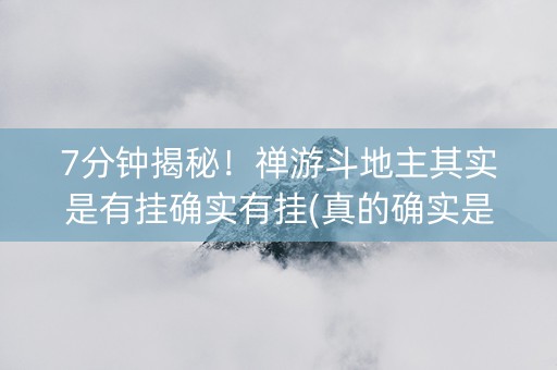 7分钟揭秘！禅游斗地主其实是有挂确实有挂(真的确实是有挂)