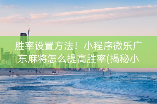 胜率设置方法！小程序微乐广东麻将怎么提高胜率(揭秘小程序助攻神器)