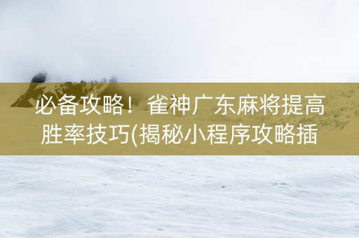 必备攻略！雀神广东麻将提高胜率技巧(揭秘小程序攻略插件)