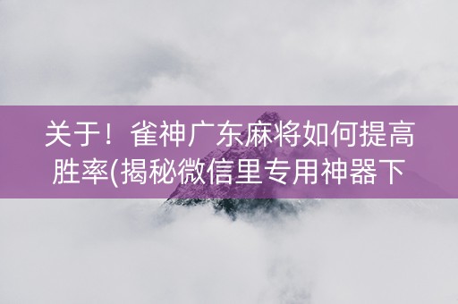 关于！雀神广东麻将如何提高胜率(揭秘微信里专用神器下载)