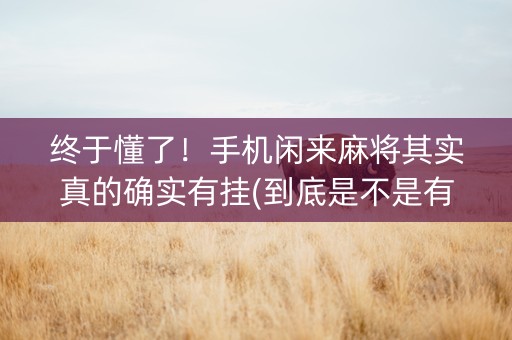 终于懂了！手机闲来麻将其实真的确实有挂(到底是不是有挂)