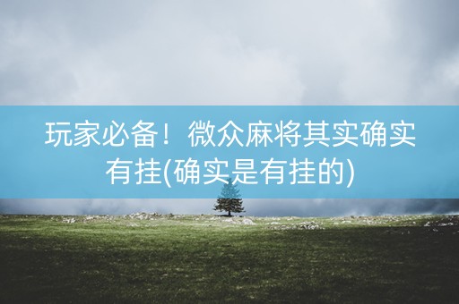 玩家必备！微众麻将其实确实有挂(确实是有挂的)