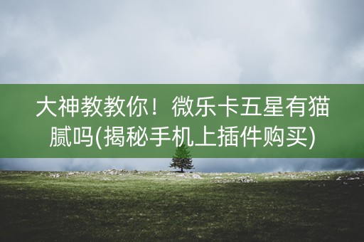 大神教教你！微乐卡五星有猫腻吗(揭秘手机上插件购买)