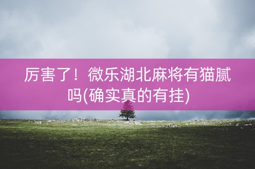 厉害了！微乐湖北麻将有猫腻吗(确实真的有挂)