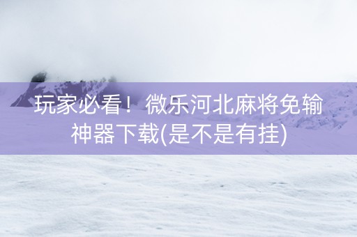 玩家必看！微乐河北麻将免输神器下载(是不是有挂)
