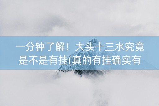 一分钟了解！大头十三水究竟是不是有挂(真的有挂确实有挂)