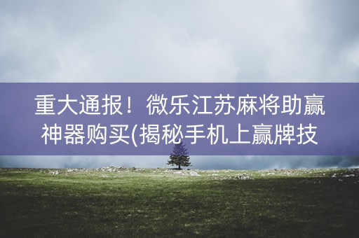重大通报！微乐江苏麻将助赢神器购买(揭秘手机上赢牌技巧)