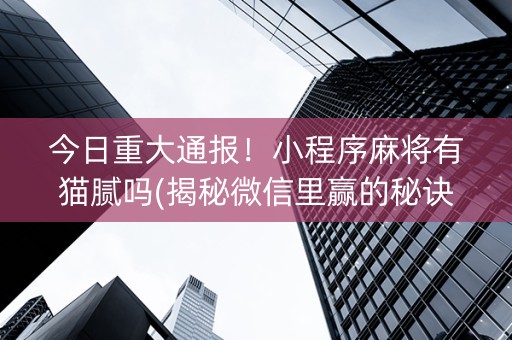 今日重大通报！小程序麻将有猫腻吗(揭秘微信里赢的秘诀)