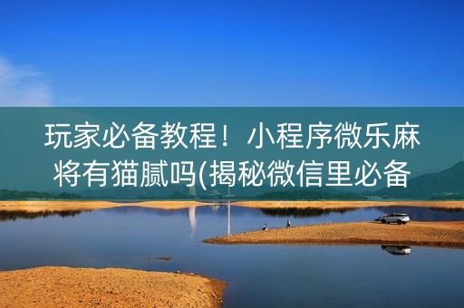 玩家必备教程！小程序微乐麻将有猫腻吗(揭秘微信里必备神器)