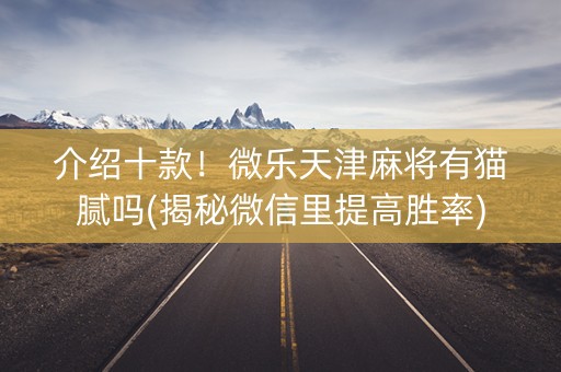 介绍十款！微乐天津麻将有猫腻吗(揭秘微信里提高胜率)