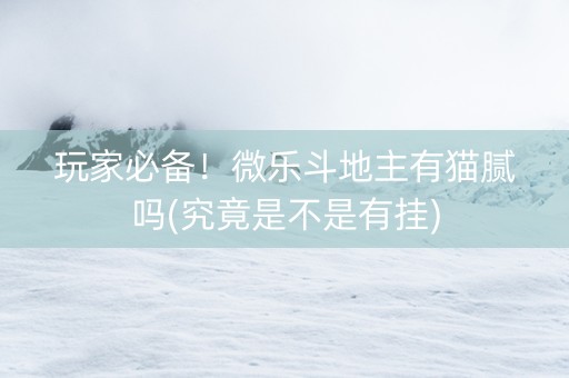 玩家必备！微乐斗地主有猫腻吗(究竟是不是有挂)