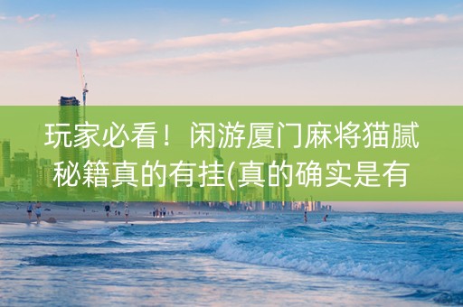 玩家必看！闲游厦门麻将猫腻秘籍真的有挂(真的确实是有挂)