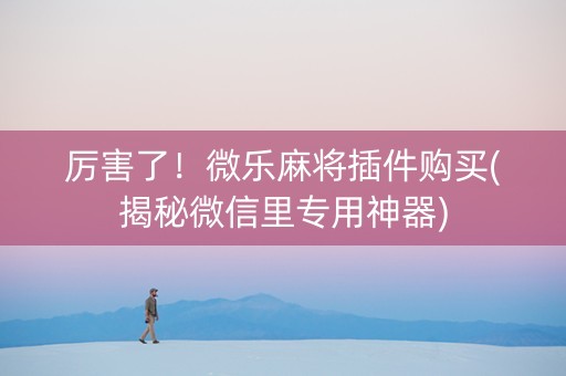 厉害了！微乐麻将插件购买(揭秘微信里专用神器)