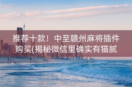 推荐十款！中至赣州麻将插件购买(揭秘微信里确实有猫腻)