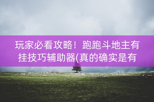 玩家必看攻略！跑跑斗地主有挂技巧辅助器(真的确实是有挂)