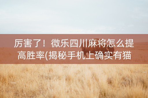厉害了！微乐四川麻将怎么提高胜率(揭秘手机上确实有猫腻)