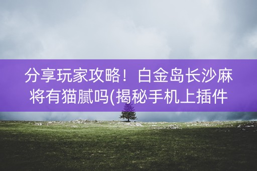 分享玩家攻略！白金岛长沙麻将有猫腻吗(揭秘手机上插件购买)