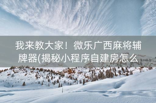 我来教大家！微乐广西麻将辅牌器(揭秘小程序自建房怎么赢)