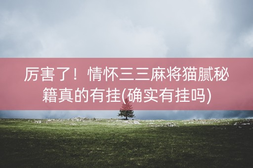厉害了！情怀三三麻将猫腻秘籍真的有挂(确实有挂吗)