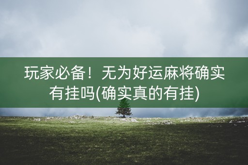 玩家必备！无为好运麻将确实有挂吗(确实真的有挂)