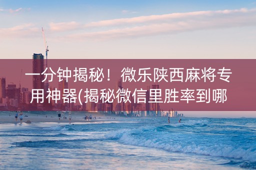 一分钟揭秘！微乐陕西麻将专用神器(揭秘微信里胜率到哪调)