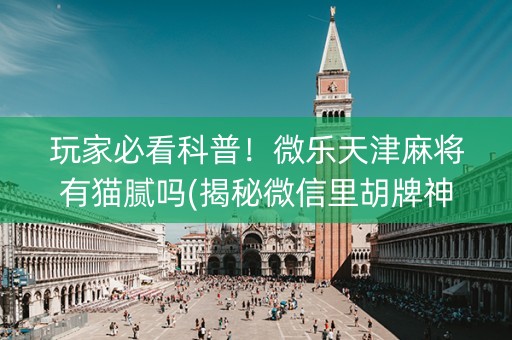 玩家必看科普！微乐天津麻将有猫腻吗(揭秘微信里胡牌神器)