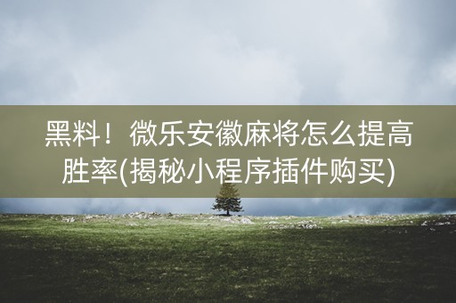 黑料！微乐安徽麻将怎么提高胜率(揭秘小程序插件购买)