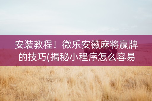 安装教程！微乐安徽麻将赢牌的技巧(揭秘小程序怎么容易赢)