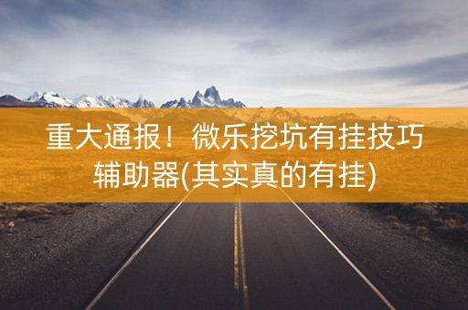 重大通报！微乐挖坑有挂技巧辅助器(其实真的有挂)