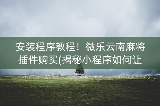 安装程序教程！微乐云南麻将插件购买(揭秘小程序如何让牌变好)