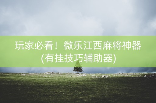 玩家必看！微乐江西麻将神器(有挂技巧辅助器)