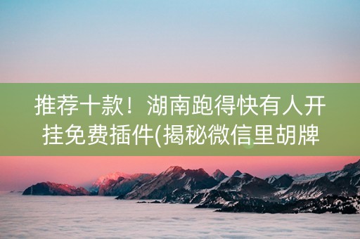 推荐十款！湖南跑得快有人开挂免费插件(揭秘微信里胡牌神器)