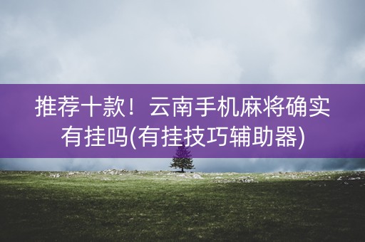 推荐十款！云南手机麻将确实有挂吗(有挂技巧辅助器)