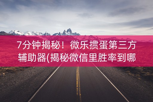 7分钟揭秘！微乐掼蛋第三方辅助器(揭秘微信里胜率到哪调)
