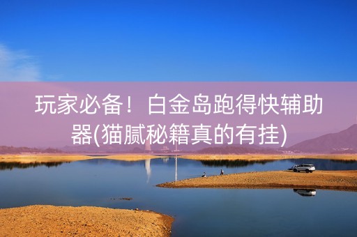 玩家必备！白金岛跑得快辅助器(猫腻秘籍真的有挂)