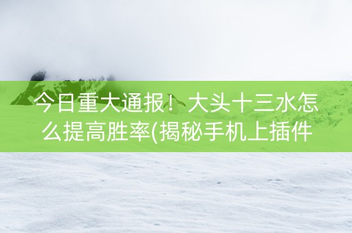 今日重大通报！大头十三水怎么提高胜率(揭秘手机上插件购买)