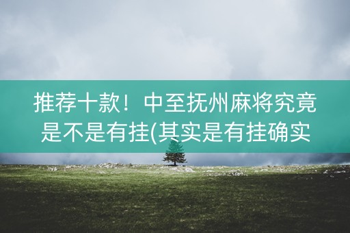 推荐十款！中至抚州麻将究竟是不是有挂(其实是有挂确实有挂)