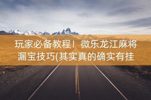 玩家必备教程！微乐龙江麻将漏宝技巧(其实真的确实有挂)