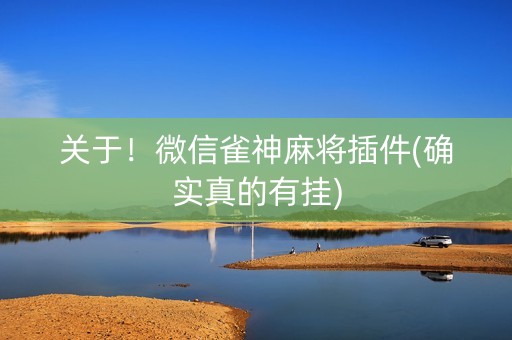关于！微信雀神麻将插件(确实真的有挂)