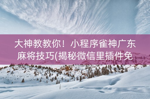 大神教教你！小程序雀神广东麻将技巧(揭秘微信里插件免费)
