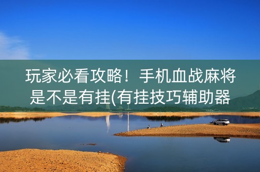玩家必看攻略！手机血战麻将是不是有挂(有挂技巧辅助器)