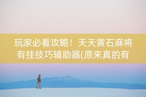 玩家必看攻略！天天黄石麻将有挂技巧辅助器(原来真的有挂)