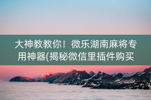 大神教教你！微乐湖南麻将专用神器(揭秘微信里插件购买)