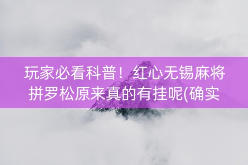 玩家必看科普！红心无锡麻将拼罗松原来真的有挂呢(确实有挂吗)
