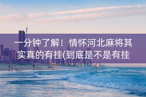 一分钟了解！情怀河北麻将其实真的有挂(到底是不是有挂)