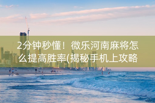 2分钟秒懂！微乐河南麻将怎么提高胜率(揭秘手机上攻略插件)