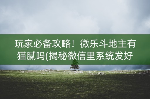 玩家必备攻略！微乐斗地主有猫腻吗(揭秘微信里系统发好牌)