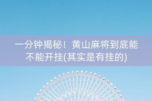 一分钟揭秘！黄山麻将到底能不能开挂(其实是有挂的)